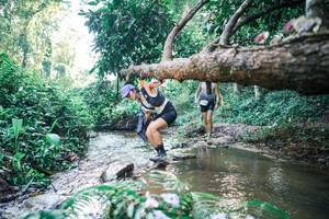 BIB: 
                            <button type="button" onclick="openModal(25433286)" class="btn btn-primary btn-sm float-right btn-popup" data-toggle="modal" data-target=".modal-high-quality">
                        <i class="fas fa-shopping-cart"></i> Add to Cart
                    </button>
                                            <button type="button" onclick="isThisMe(25433286, true)" class="btn btn-success btn-sm float-right btn-popup btn-isme hidden" data-toggle="tooltip" data-placement="bottom" title="นี่คือรูปของคุณใช่ไหม คลิกที่นี่เพื่อเอาเข้าอัลบั้ม">
                        <i class="fas fa-plus"></i> Add to album
                    </button>
                    <button type="button" onclick="isThisMe(25433286, false)" class="btn btn-warning btn-sm float-right btn-popup btn-isnotme hidden">
                        <i class="fas fa-ban"></i> Remove from album
                    </button>